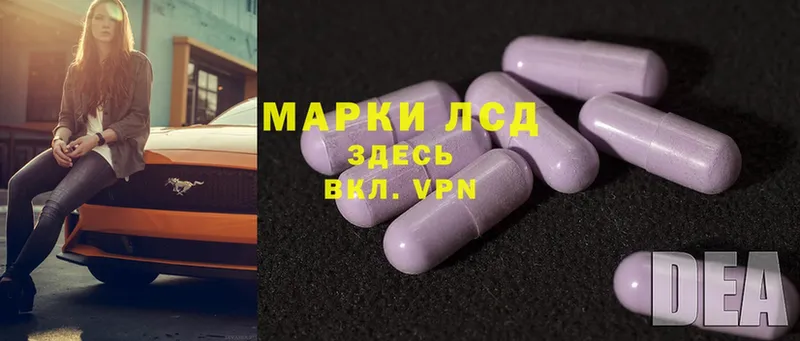 ЛСД экстази ecstasy  где продают наркотики  Нововоронеж 